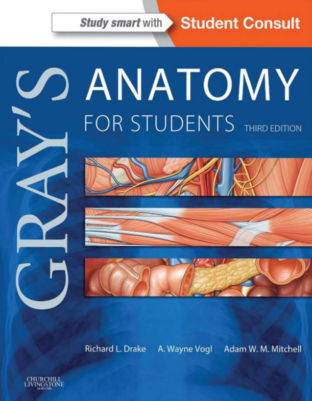 Gray’s Anatomy for Students 3rd Ed
