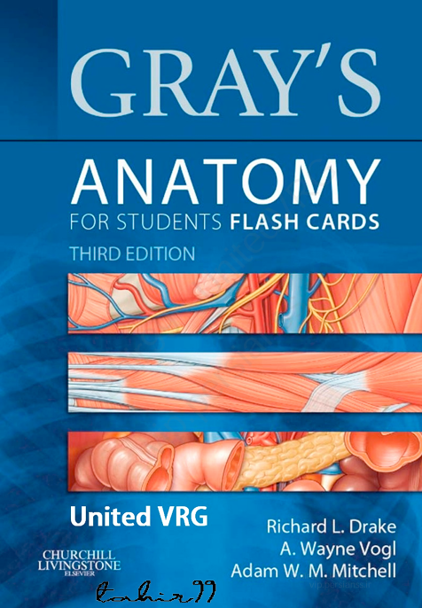 Gray’s Anatomy for Students Flash Cards, 3Ed