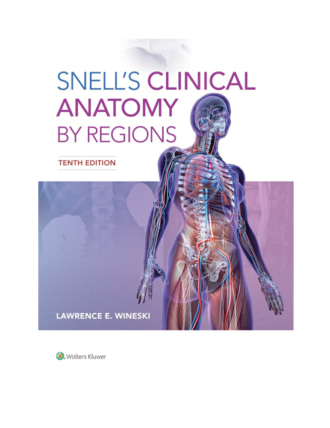 Snell’s Clinical Anatomy by Regions 10th Edition